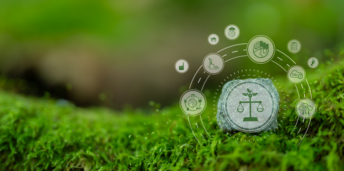 Environmental Compliance & Management